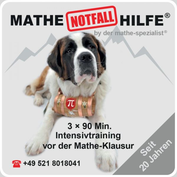 Produktbild Mathe-Notfall-Hilfe von der mathe-spezialist mit Bernhardiner und Intensivtraining vor Klausuren.