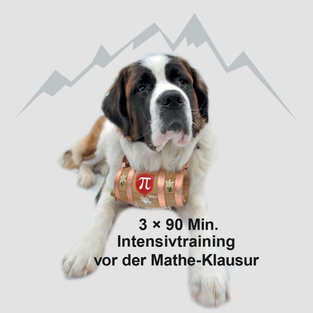 Mathe-Notfall-Hilfe Bernhardiner
