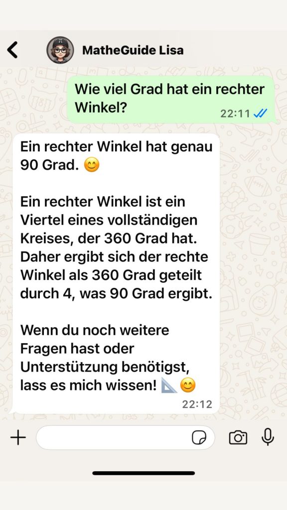 MatheGuide Lisa erklärt Winkel