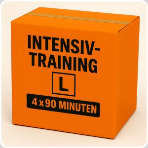 Das Paket L des Mathe-Intensiv-Trainings umfasst vier intensive 90-Minuten-Einheiten für Schüler der Mittel- und Oberstufe. Ideal für schnelle Fortschritte und gezieltes Arbeiten an Mathe-Themen.