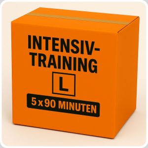 Intensiv-Training für die Nachprüfung – Paket L