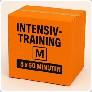 Mathe Intensiv-Training Paket M für die Nachprüfung – 8×60 Minuten