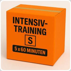 Intensiv-Training für die Nachprüfung – Paket S