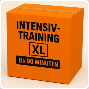 Intensiv-Training für die Nachprüfung – Paket XL
