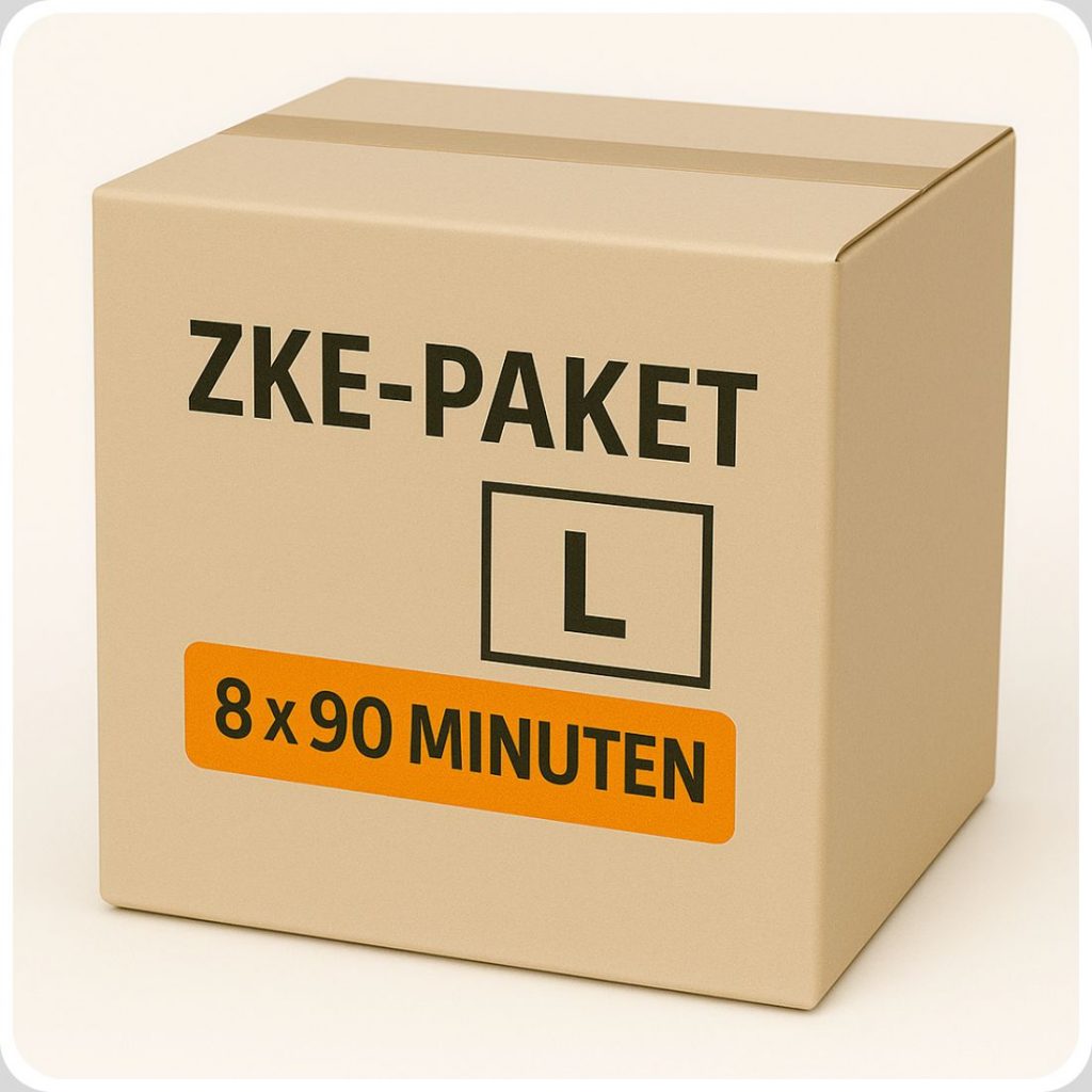 ZKE Paket L – Intensive Vorbereitung auf die Zentrale Klausur Mathematik NRW mit 8 × 90 Minuten Training