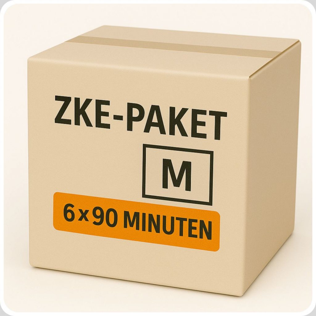 ZKE-Paket M – gezielte Vorbereitung auf die Zentrale Klausur Mathematik NRW mit 6 × 90 Minuten Training