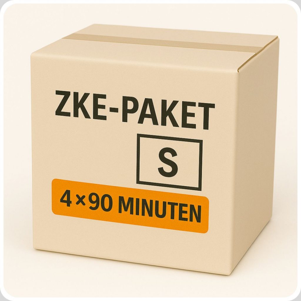 ZKE-Paket S – kompakte Vorbereitung auf die Zentrale Klausur Mathematik NRW mit 4 × 90 Minuten Training
